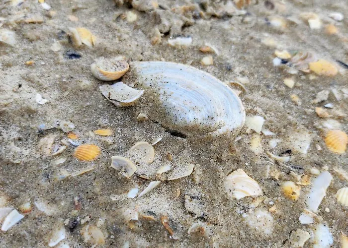 شقة Ostseeperle Karlina Karlshagen