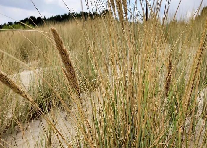 Ostseeperle Karlina شقة Karlshagen